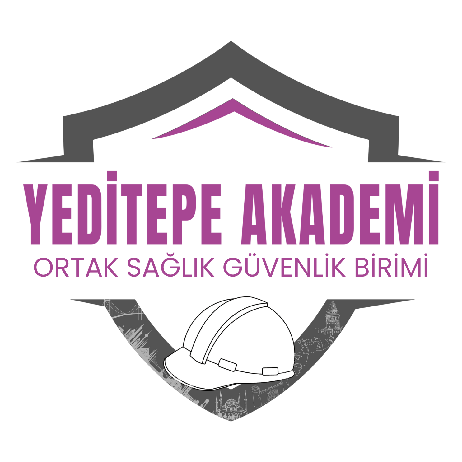 Yeditepe Akademi Logo